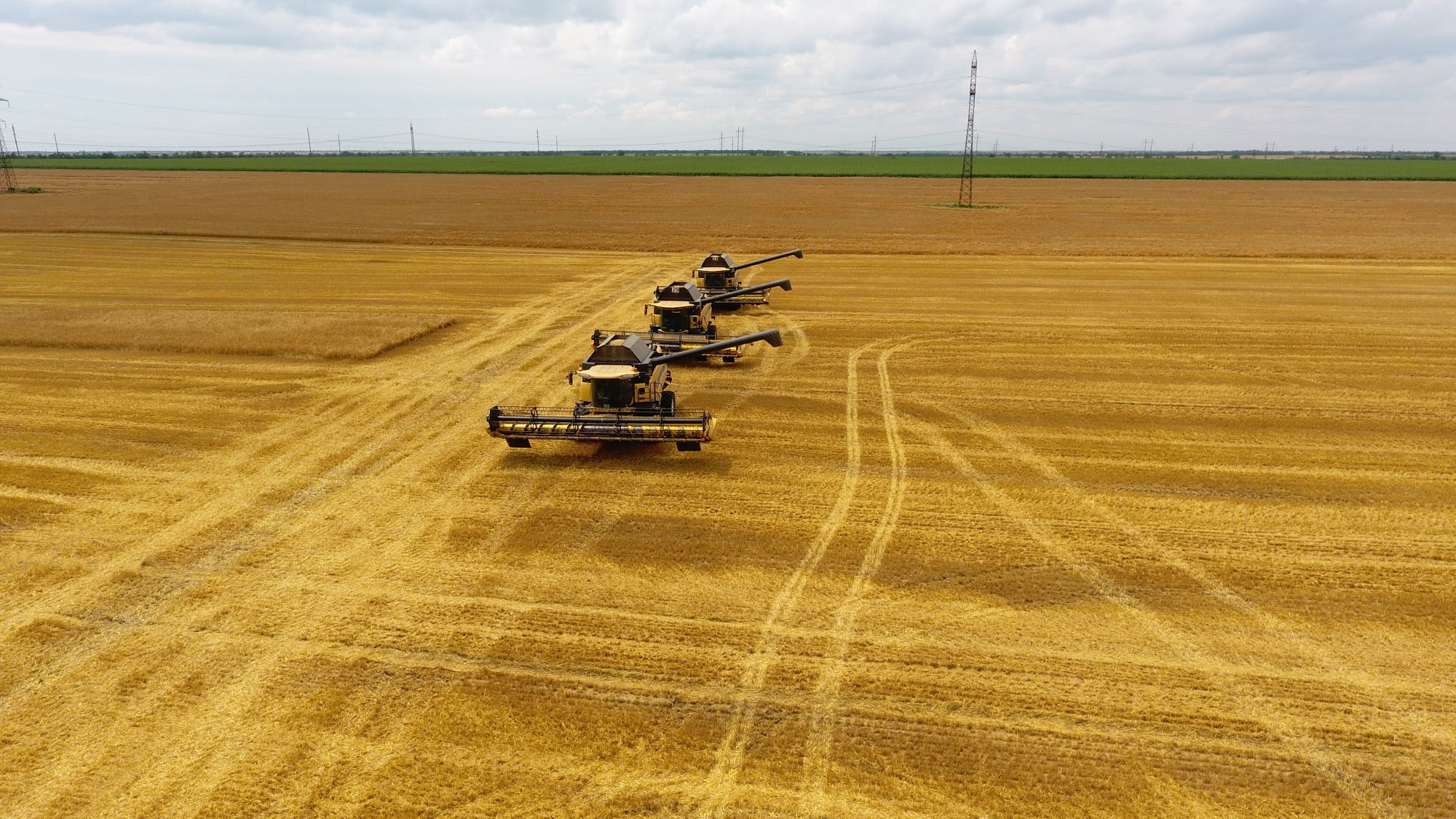 468444242 1100101385091527 7931223159227451583 n (2)