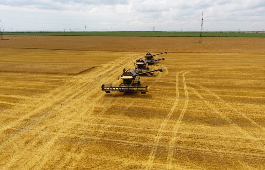 468444242 1100101385091527 7931223159227451583 n e1774869711737.jpg