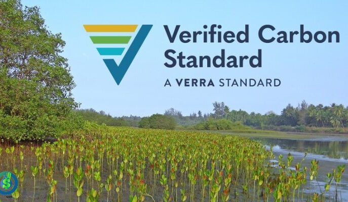 verified carbon standar e1774863531205.jpg